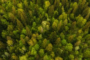 © bilanol (Adobe Stock) AdobeStock_453595314