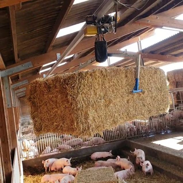 © Kooperation Hessenfleisch © Kooperation Hessenfleisch