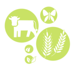 Ifls_Icons_-_Hellgrün_RGB_Ö-1_Biodiversität