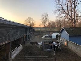 2022_03_regisöl_Bollheim