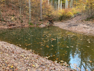 © M.Bender/HessenForst Rhoen-vogelsberg
