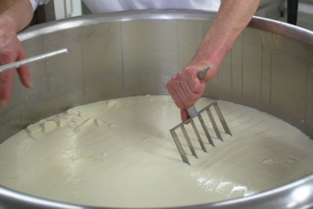 © OG Hessischer Hofkäse © OG Hessischer Hofkäse