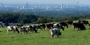 © Regionalwert AG Rheinland bergisch_milch
