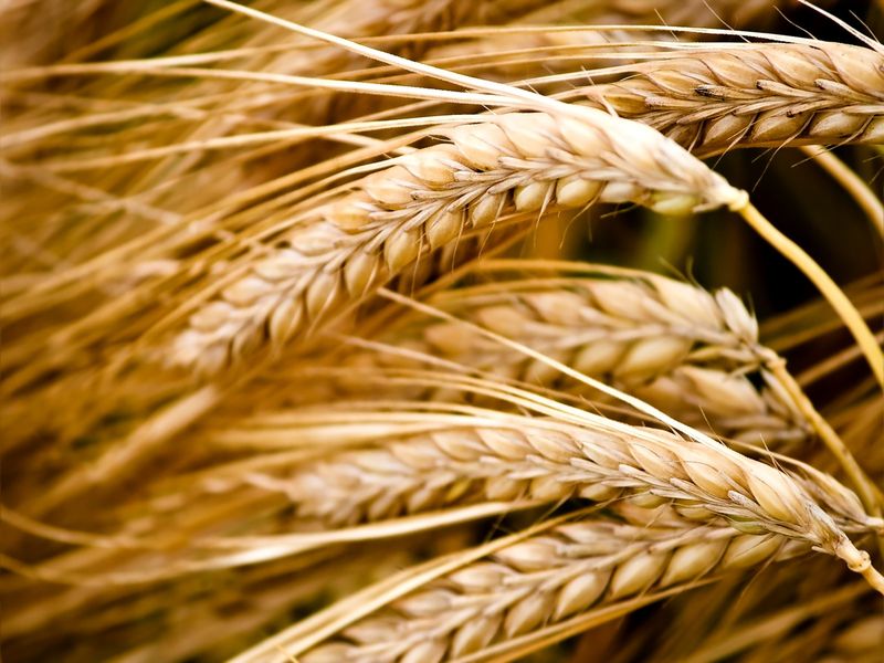 © krizz7 - Fotolia © krizz7 - Fotolia