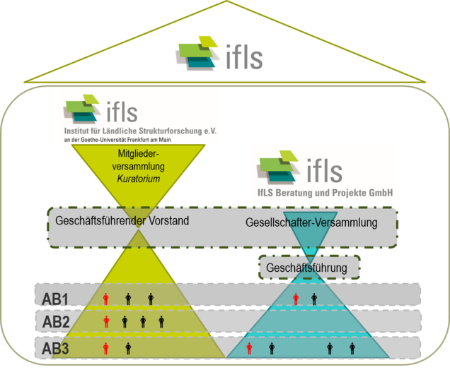 Fig: Institute for Rural Development Research and IfLS Consulting and Projects under one roof
Grafik_Organisationsstruktur
